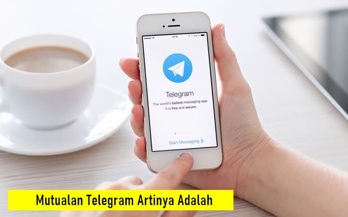 Mutualan Telegram