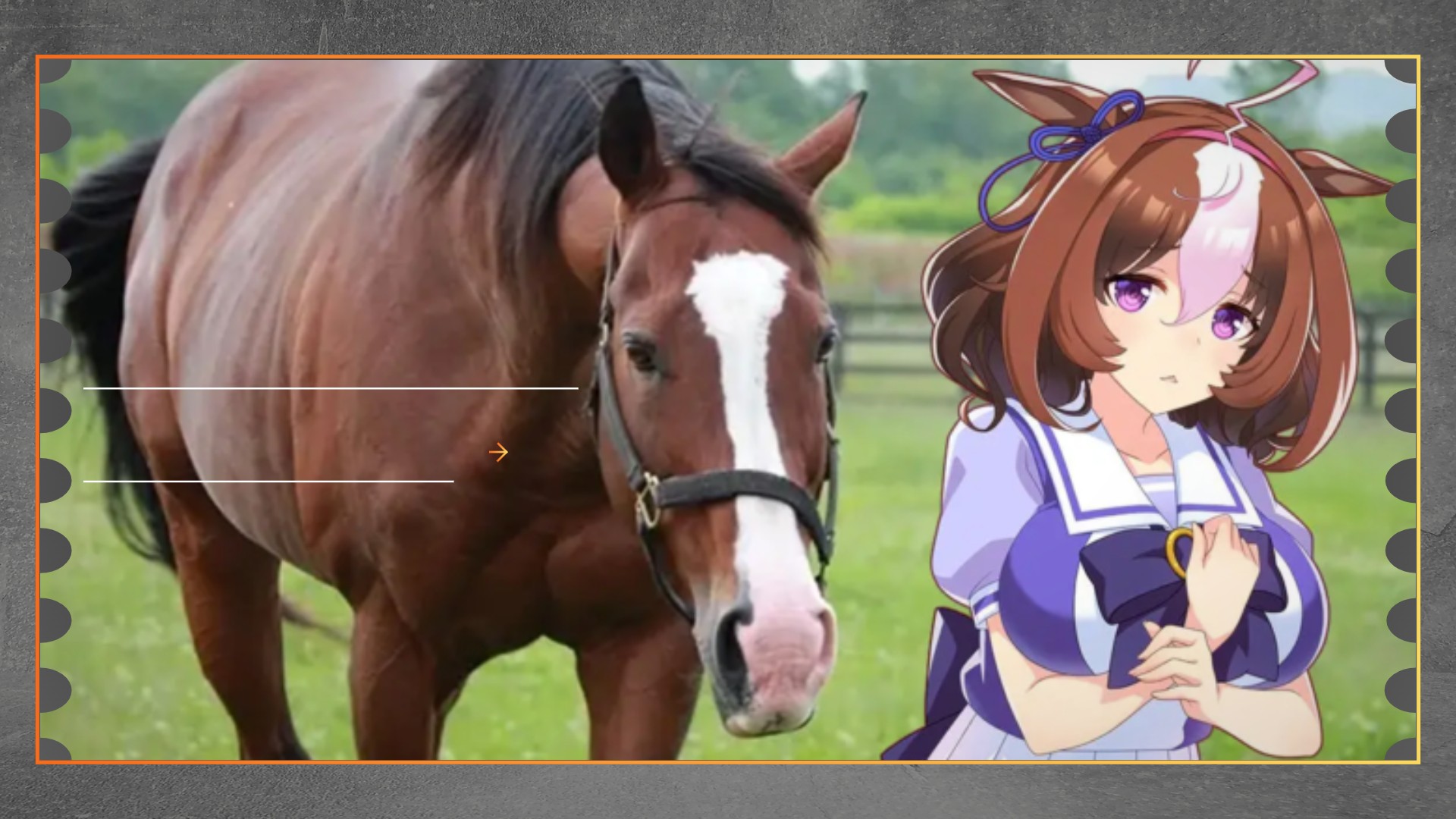 Fans Umamusume Kumpulkan ¥94 Juta untuk Kandang Meisho Doto